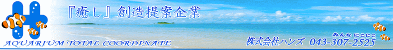 水槽のレンタル＆水槽メンテナンス