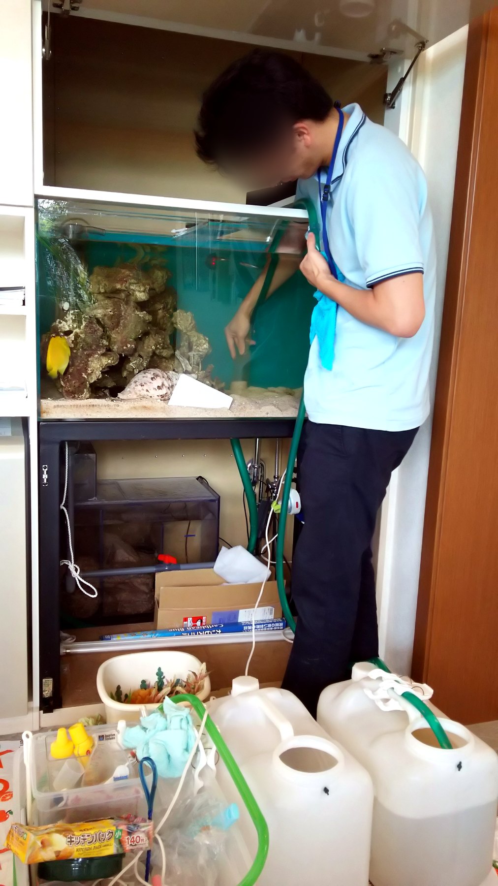 千葉県市原市での水槽定期管理作業