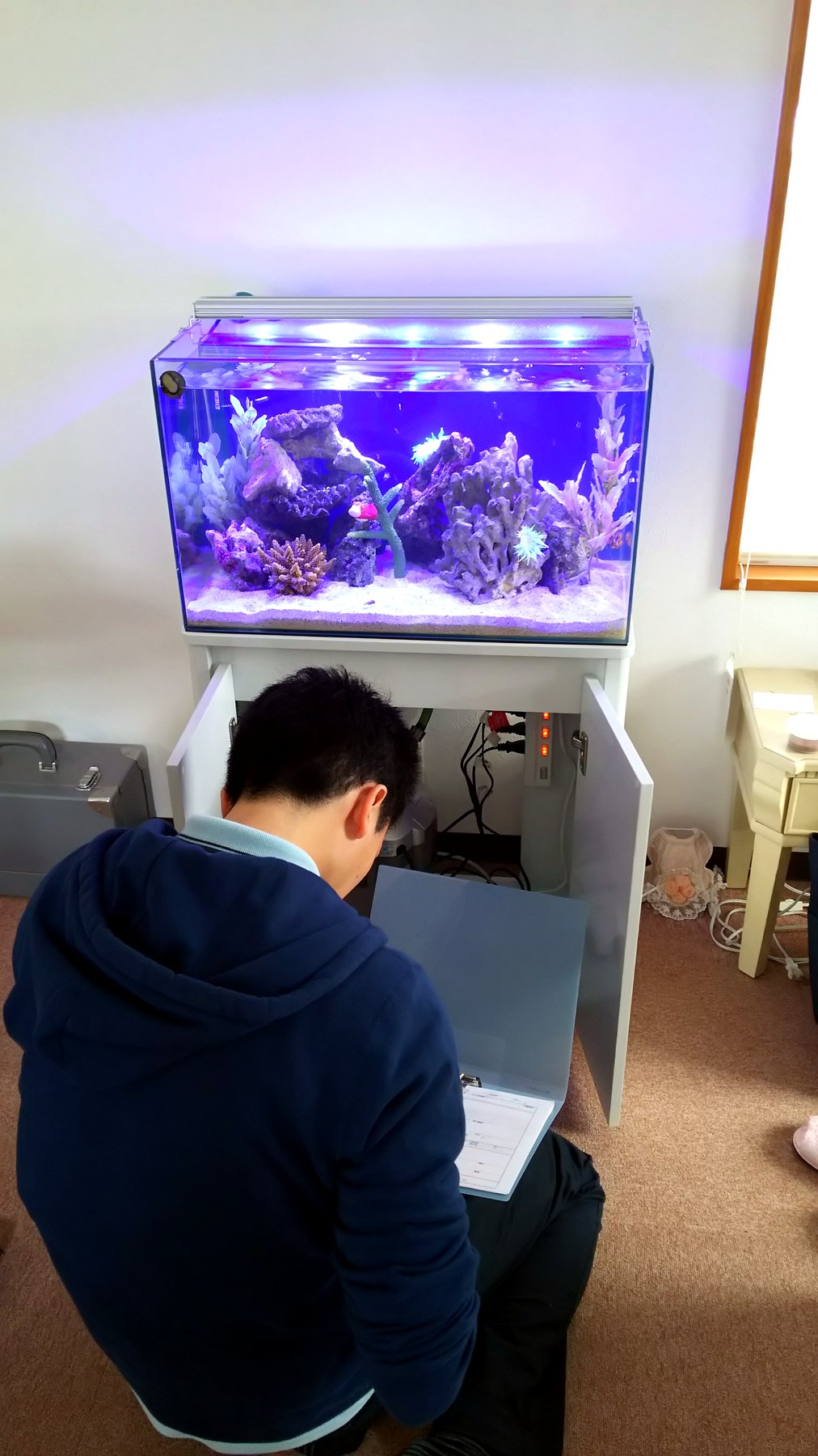 市原市のオフィスで埋め込み海水魚水槽の設備を点検する様子